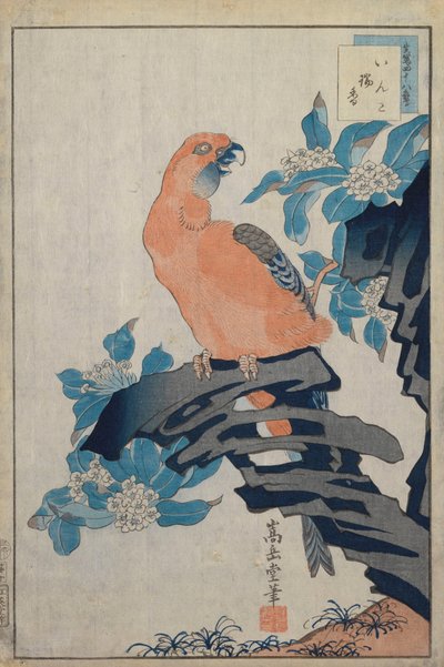 Untitled by Nakayama Sugakudo